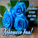 Пусть счастье сегодня ждет лишь тебя! Хорошего дня