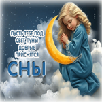 Пусть тебе под свет луны добрые приснятся сны