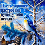 Пусть хорошее настроение будет у тебя всегда