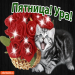 Пятница Ура