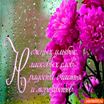 Радости и счастья