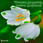 Радость весна счастье