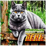 Радостная открытка с котиком Добрый день
