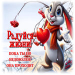 Радуйся жизни! Пока ты ею недоволен, она проходит