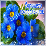 Радужная, цветущая открытка Хорошего понедельника