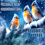 Расслабься после напряженного дня! Хорошего вечера