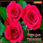 Розы для любимой Татьяны