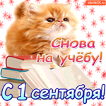 С 1 сентября Снова на учёбу