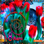 С 8 мартом вас женщины
