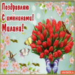 С Днём имени Милана