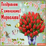 С Днём имени Мирослава