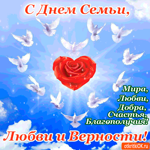 С Днём Семьи, любви и верности - Добра и счастья желаю вам