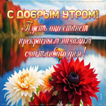 С добрым утром! Пусть оно станет началом счастливого дня