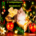 С наступающими праздниками друзья
