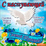 С наступающей Троицей - Счастья, мира и добра
