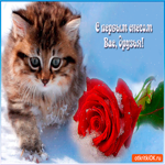 С первым снегом вас друзья
