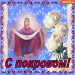 С покровом, Счастья и мира вам