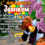 С Последним звонком - Удачи и ярких дорог