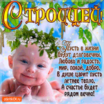 С Троицей. Вечного счастья рядом желаю