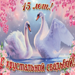 С важной датой 15 летней