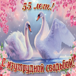 С важной датой 55 летней