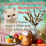 С Вербным Воскресеньем и наступающей Пасхой