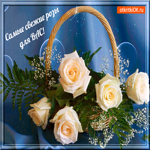 Самые свежие розы для вас