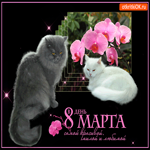 Самой любимой на 8 марта