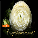 Самой очаровательной женщине