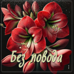 Шикарная гиф-открытка с цветами Без повода