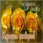 Сил, комфорта, красоты! Хорошего четверга