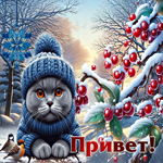 Снежная гиф-открытка с котиком Привет