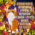 Солнечного вторника