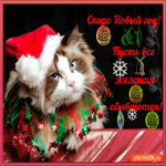 Совсем скоро новый год
