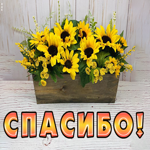 Спасибо, что не забываете