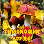 Спасибо тебе за дружбу