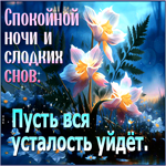 Спокойной ночи и сладких снов! Пусть вся усталось уйдет