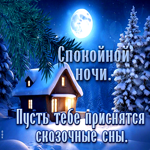 Спокойной ночи! Пусть тебе приснятся сказочные сны