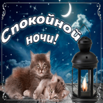 Спокойной ночи и сладких снов, мои дорогие