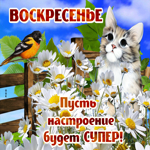 Супер открытка воскресенье