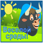 Шутливая открытка с бычком Веселой среды!