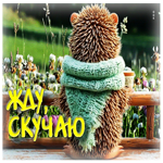 Светлая и уютная гиф-открытка Жду, скучаю