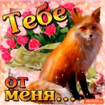 Тебе душевно от меня