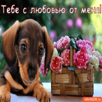 Тебе с любовью от меня