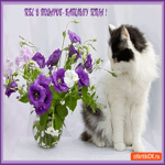 Открытка котик с цветами