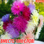 Тебе вместо 1000 слов