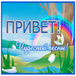 Теплая и нежная гиф-открытка Привет! Чудесной весны!