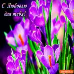 Цветы с любовью для тебя