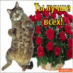 Ты лучше всех