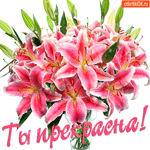Ты прекрасна словно лилия